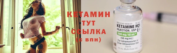 крисы Алексин